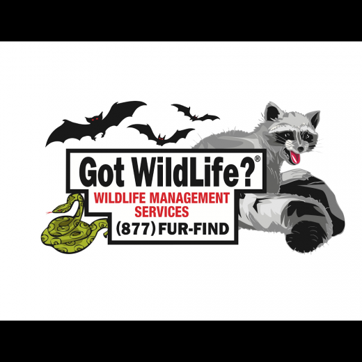 Got Wildlife? LLC in Roseland City, New Jersey, United States - #1 Photo of Point of interest, Establishment, Store, Home goods store