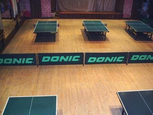 Dynamo Table Tennis Club in Brooklyn City, New York, United States - #1 Photo of Point of interest, Establishment, Store, School