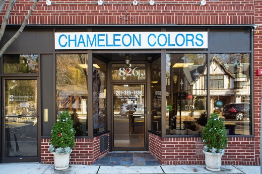 Chameleon Colors in River Edge City, New Jersey, United States - #1 Photo of Point of interest, Establishment, Health, Spa, Beauty salon, Hair care