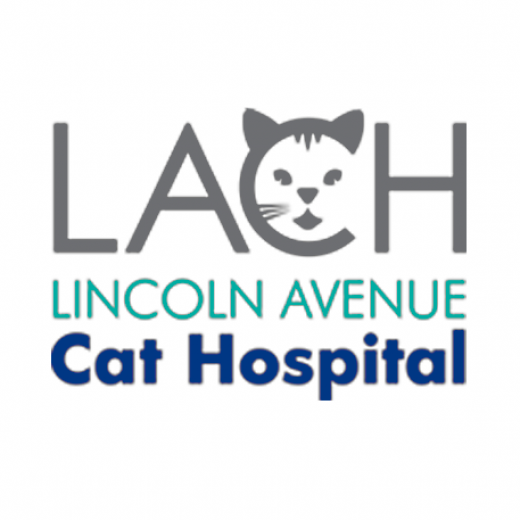 Photo by <br />
<b>Notice</b>:  Undefined index: user in <b>/home/www/activeuser/data/www/vaplace.com/core/views/default/photos.php</b> on line <b>128</b><br />
. Picture for Lincoln Avenue Cat Hospital in Fair Lawn City, New Jersey, United States - Point of interest, Establishment, Veterinary care