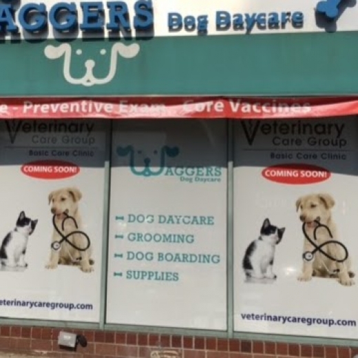 Veterinary Care Group Bayside in Queens City, New York, United States - #1 Photo of Point of interest, Establishment, Veterinary care