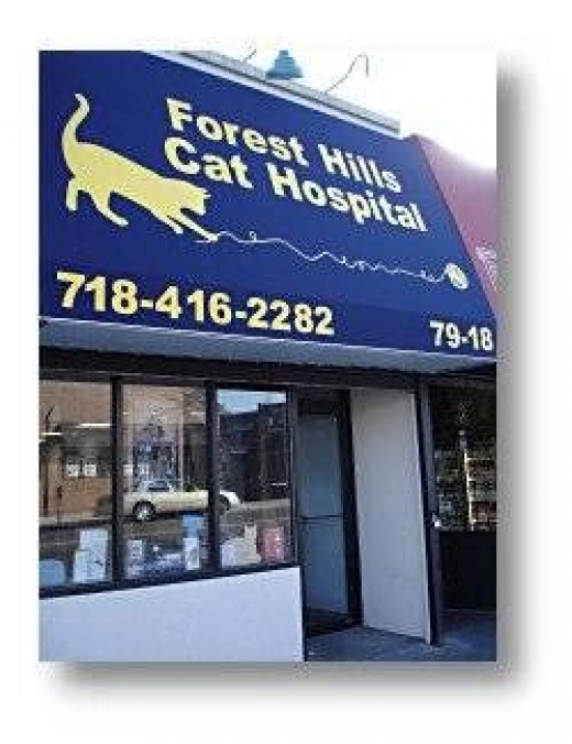 Forest Hills Cat Hospital in Middle Village City, New York, United States - #1 Photo of Point of interest, Establishment, Veterinary care
