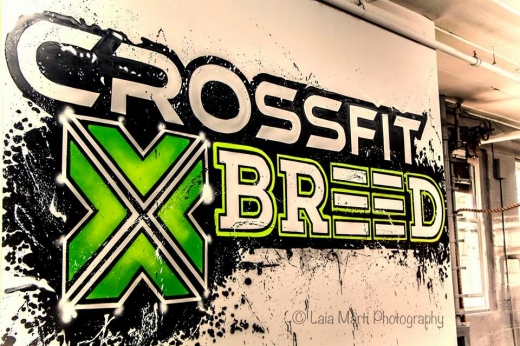 CROSSFIT BREED in Queens City, New York, United States - #4 Photo of Point of interest, Establishment, Health