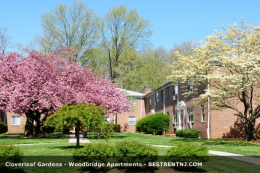 Cloverleaf Gardens in Woodbridge Township City, New Jersey, United States - #4 Photo of Point of interest, Establishment