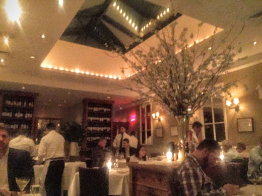 Babbo in New York City, New York, United States - #1 Photo of Restaurant, Food, Point of interest, Establishment, Bar