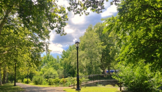 Manhasset Valley County Park in Manhasset City, New York, United States - #3 Photo of Point of interest, Establishment, Park