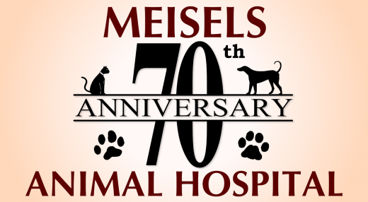 Photo by <br />
<b>Notice</b>:  Undefined index: user in <b>/home/www/activeuser/data/www/vaplace.com/core/views/default/photos.php</b> on line <b>128</b><br />
. Picture for Meisels Animal Hospital in Elmwood Park City, New Jersey, United States - Point of interest, Establishment, Veterinary care