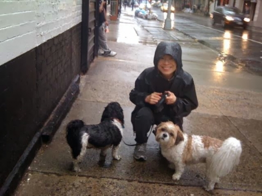 Chelsea Dog Walking & Training in New York City, New York, United States - #1 Photo of Point of interest, Establishment