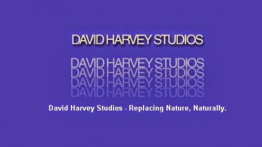 David Harvey Studios Inc. - Hair Replacement in New York City, New York, United States - #2 Photo of Point of interest, Establishment, Store, Health, Hair care