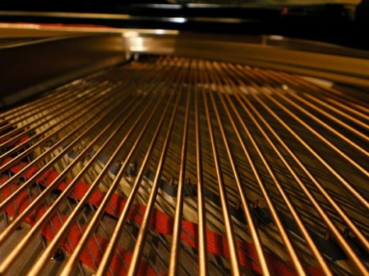 Turner Piano / Harpsichord Service in Yonkers City, New York, United States - #2 Photo of Point of interest, Establishment
