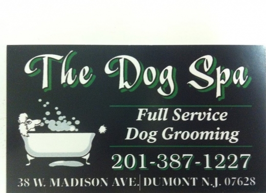The Dog Spa in Dumont City, New Jersey, United States - #2 Photo of Point of interest, Establishment