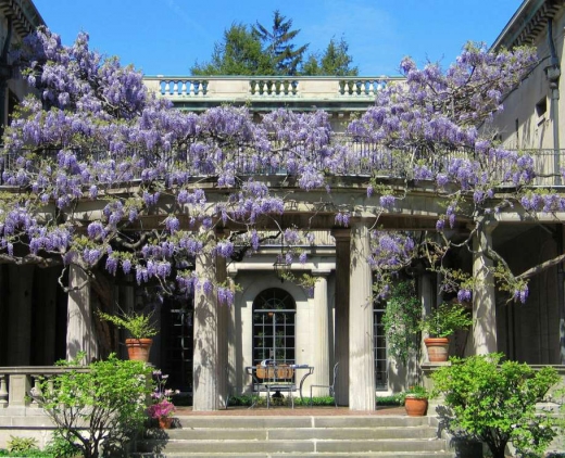 Van Vleck House & Gardens in Montclair City, New Jersey, United States - #2 Photo of Point of interest, Establishment, Store, Park