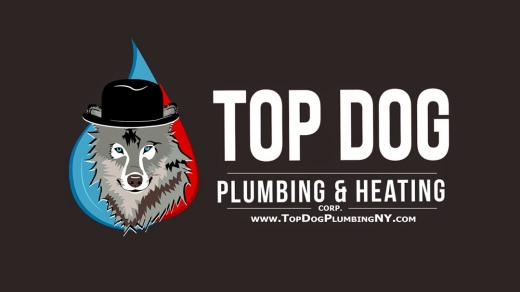 Top Dog Plumbing and Heating NYC in Queens City, New York, United States - #2 Photo of Point of interest, Establishment, Plumber
