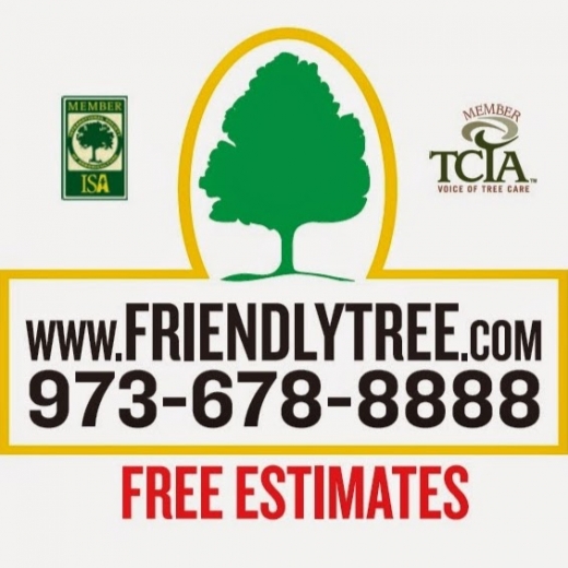 Friendly Tree Service- Fine Pruning of Trees and Shrubs in Union City, New Jersey, United States - #2 Photo of Point of interest, Establishment