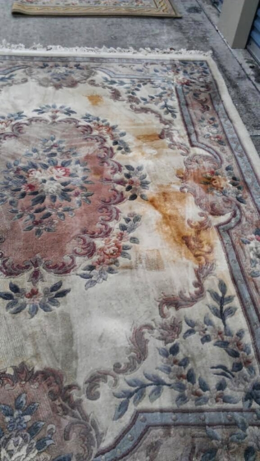 Photo by <br />
<b>Notice</b>:  Undefined index: user in <b>/home/www/activeuser/data/www/vaplace.com/core/views/default/photos.php</b> on line <b>128</b><br />
. Picture for Carpet Cleaning Bayside NY in Bayside City, New York, United States - Point of interest, Establishment, Laundry