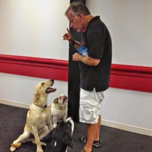 Michael's Pack Dog Training Center in Mineola City, New York, United States - #3 Photo of Point of interest, Establishment