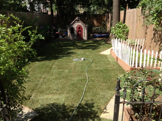 Photo by <br />
<b>Notice</b>:  Undefined index: user in <b>/home/www/activeuser/data/www/vaplace.com/core/views/default/photos.php</b> on line <b>128</b><br />
. Picture for DeSanto Landscaping & Irrigation, LLC in Kings County City, New York, United States - Point of interest, Establishment, General contractor