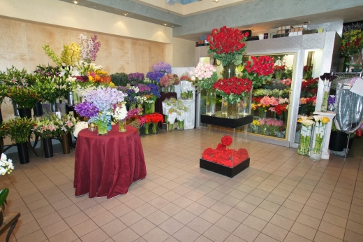 Photo by <br />
<b>Notice</b>:  Undefined index: user in <b>/home/www/activeuser/data/www/vaplace.com/core/views/default/photos.php</b> on line <b>128</b><br />
. Picture for Ariston Floral Boutique in New York City, New York, United States - Point of interest, Establishment, Store, Florist