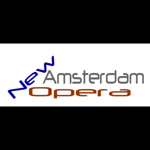 New Amsterdam Opera in New York City, New York, United States - #2 Photo of Point of interest, Establishment