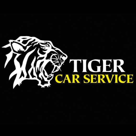 Photo by Tiger Car Service for Tiger Car Service