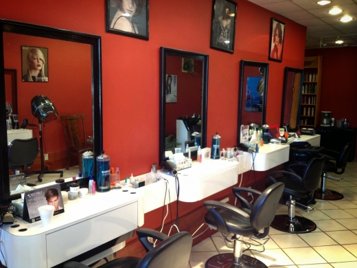 Harrison Salon in Harrison City, New York, United States - #4 Photo of Point of interest, Establishment, Health, Beauty salon, Hair care