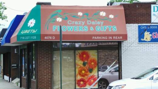Crazy Daisy in Staten Island City, New York, United States - #1 Photo of Point of interest, Establishment, Store, Florist