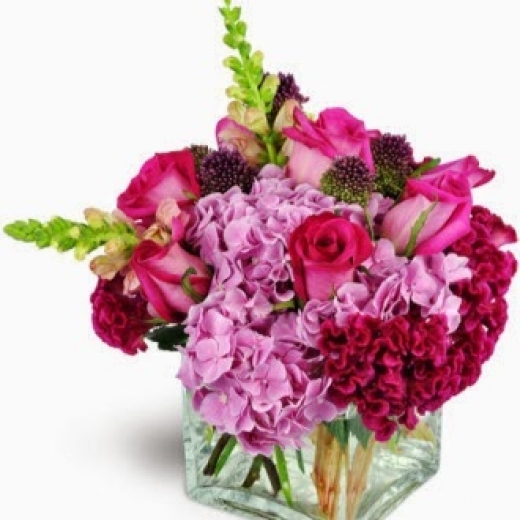 Photo by <br />
<b>Notice</b>:  Undefined index: user in <b>/home/www/activeuser/data/www/vaplace.com/core/views/default/photos.php</b> on line <b>128</b><br />
. Picture for Ava's Rainflorist in Bronx City, New York, United States - Point of interest, Establishment, Store, Florist