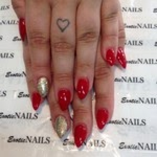 Photo by <br />
<b>Notice</b>:  Undefined index: user in <b>/home/www/activeuser/data/www/vaplace.com/core/views/default/photos.php</b> on line <b>128</b><br />
. Picture for Exotic Nails in West Hempstead City, New York, United States - Point of interest, Establishment, Health, Spa, Beauty salon, Hair care