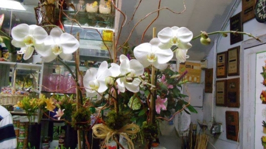 Photo by <br />
<b>Notice</b>:  Undefined index: user in <b>/home/www/activeuser/data/www/vaplace.com/core/views/default/photos.php</b> on line <b>128</b><br />
. Picture for CitiFloral Inc. NYC Florist in New York City, New York, United States - Point of interest, Establishment, Store, Florist