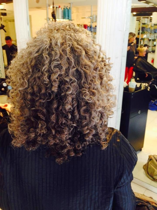 Photo by <br />
<b>Notice</b>:  Undefined index: user in <b>/home/www/activeuser/data/www/vaplace.com/core/views/default/photos.php</b> on line <b>128</b><br />
. Picture for Leslie Ellen Curly Hair Salon NYC in New York City, New York, United States - Point of interest, Establishment, Hair care