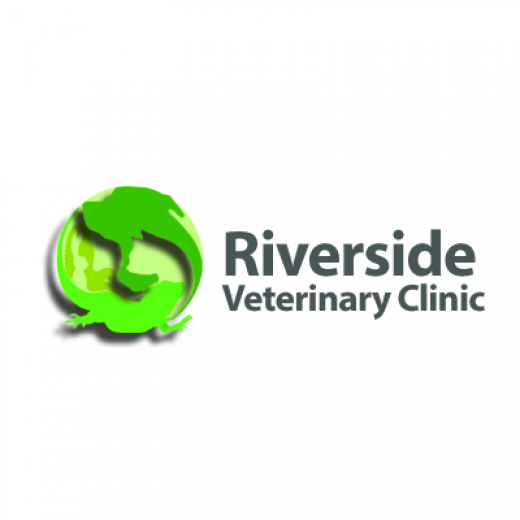 Photo by <br />
<b>Notice</b>:  Undefined index: user in <b>/home/www/activeuser/data/www/vaplace.com/core/views/default/photos.php</b> on line <b>128</b><br />
. Picture for Riverside Veterinary Clinic in New York City, New York, United States - Point of interest, Establishment, Veterinary care