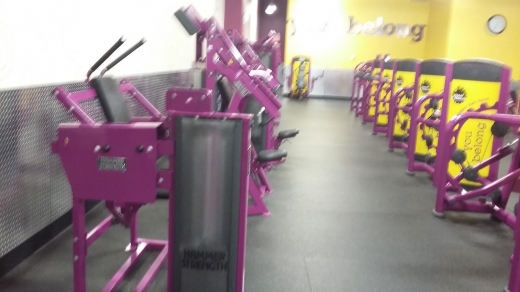 Photo by <br />
<b>Notice</b>:  Undefined index: user in <b>/home/www/activeuser/data/www/vaplace.com/core/views/default/photos.php</b> on line <b>128</b><br />
. Picture for Planet Fitness - New Rochelle, NY in New Rochelle City, New York, United States - Point of interest, Establishment, Health, Gym