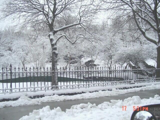 Marcus Garvey Park in New York City, New York, United States - #2 Photo of Point of interest, Establishment, Park
