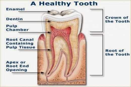 One Dental in Bronxville City, New York, United States - #4 Photo of Point of interest, Establishment, Health, Dentist