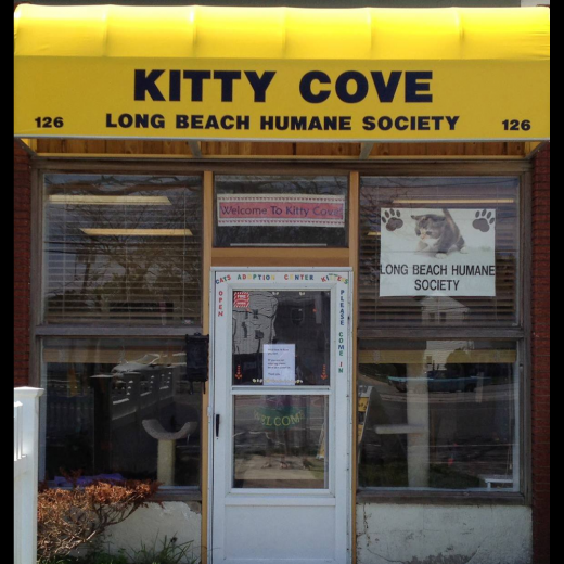 Photo by Long Beach Humane Society Kitty Cove for Long Beach Humane Society Kitty Cove