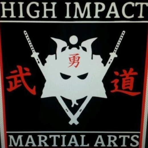 Photo by <br />
<b>Notice</b>:  Undefined index: user in <b>/home/www/activeuser/data/www/vaplace.com/core/views/default/photos.php</b> on line <b>128</b><br />
. Picture for High Impact Martial Arts in West New York City, New Jersey, United States - Point of interest, Establishment, Health