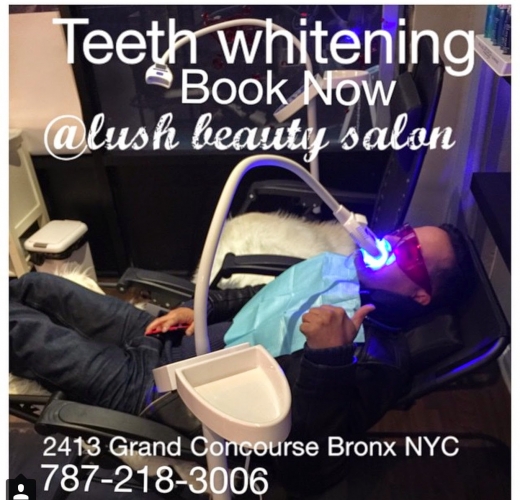 Lush Beauty Salon in Bronx City, New York, United States - #4 Photo of Point of interest, Establishment, Beauty salon
