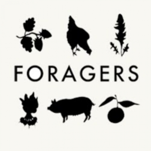 Photo by <br />
<b>Notice</b>:  Undefined index: user in <b>/home/www/activeuser/data/www/vaplace.com/core/views/default/photos.php</b> on line <b>128</b><br />
. Picture for Foragers Wines in New York City, New York, United States - Food, Point of interest, Establishment, Store, Liquor store