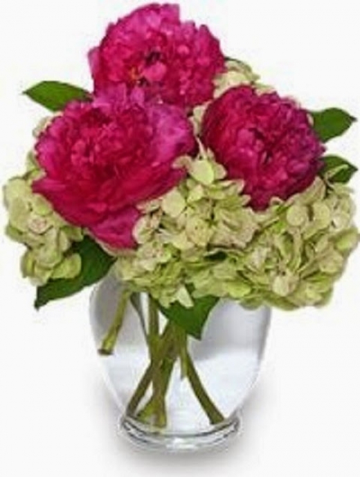 Photo by <br />
<b>Notice</b>:  Undefined index: user in <b>/home/www/activeuser/data/www/vaplace.com/core/views/default/photos.php</b> on line <b>128</b><br />
. Picture for The Flower Cart in Fair Lawn City, New Jersey, United States - Point of interest, Establishment, Store, Florist