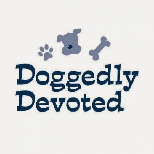 Doggedly Devoted - A Harlem Dog Daycare and Training Facility in New York City, New York, United States - #3 Photo of Point of interest, Establishment
