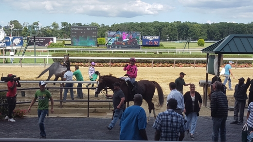 Serpe Racing Stable in Elmont City, New York, United States - #1 Photo of Point of interest, Establishment