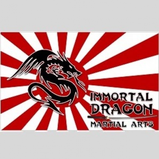 Photo by <br />
<b>Notice</b>:  Undefined index: user in <b>/home/www/activeuser/data/www/vaplace.com/core/views/default/photos.php</b> on line <b>128</b><br />
. Picture for Immortal Dragon Martial Arts in Lincoln Park City, New Jersey, United States - Point of interest, Establishment, Health