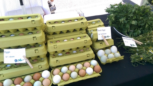 Bronxville Saturday Farmer Market in Bronxville City, New York, United States - #4 Photo of Food, Point of interest, Establishment, Store, Grocery or supermarket