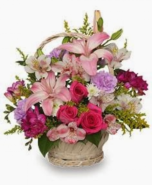 Photo by <br />
<b>Notice</b>:  Undefined index: user in <b>/home/www/activeuser/data/www/vaplace.com/core/views/default/photos.php</b> on line <b>128</b><br />
. Picture for Blosoms by Maude Florist, LLC in Elizabeth City, New Jersey, United States - Point of interest, Establishment, Store, Florist