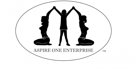 Aspire One Enterprise, Online Support Network for over 21 & under 30 men & women in Brooklyn City, New York, United States - #2 Photo of Point of interest, Establishment
