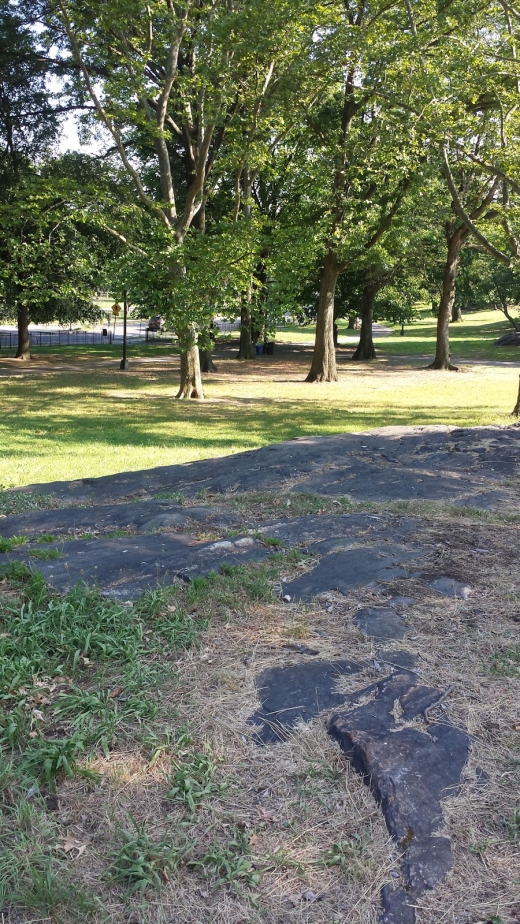 Crotona Outdoor Olympic Pool in Bronx City, New York, United States - #4 Photo of Point of interest, Establishment