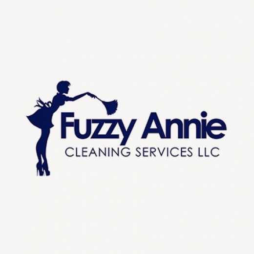 Fuzzy Annie Cleaning Services in Hempstead City, New York, United States - #2 Photo of Point of interest, Establishment