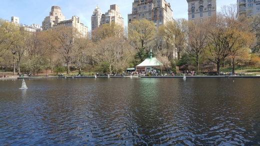 Photo by <br />
<b>Notice</b>:  Undefined index: user in <b>/home/www/activeuser/data/www/vaplace.com/core/views/default/photos.php</b> on line <b>128</b><br />
. Picture for Conservatory Water in New York City, New York, United States - Point of interest, Establishment