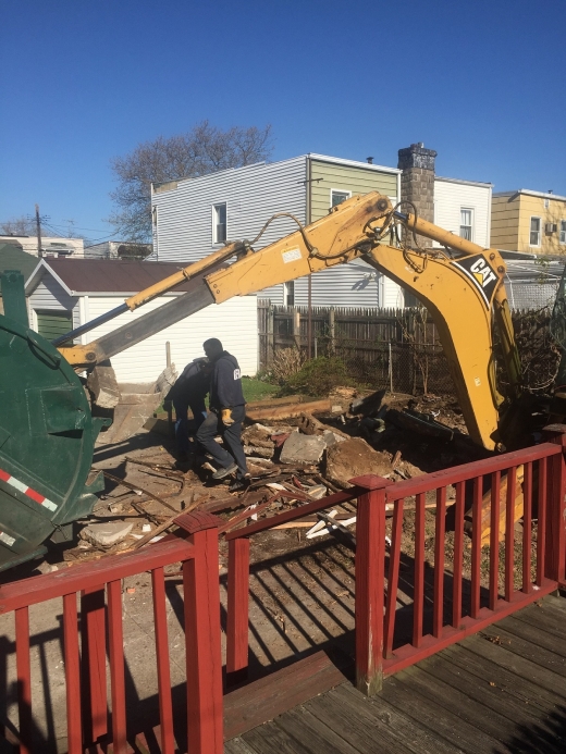 Brooklyn Tree Removal in Kings County City, New York, United States - #4 Photo of Point of interest, Establishment