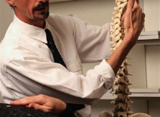 Living Perfect Chiropractic in New York City, New York, United States - #3 Photo of Point of interest, Establishment, Health, Doctor, Physiotherapist